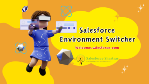 Salesforce Environment Switcher